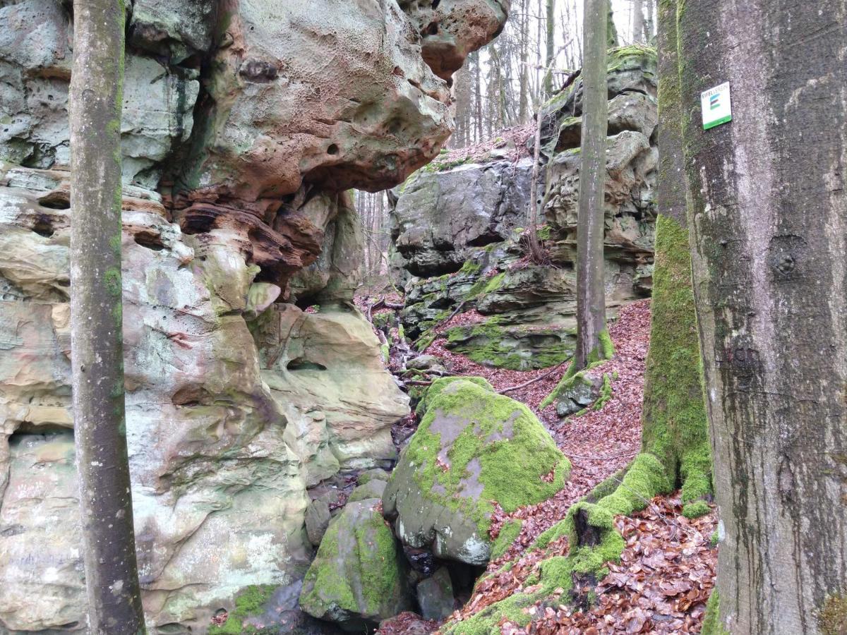Ferienhaus Fraeulein Frenz Bollendorf Extérieur photo